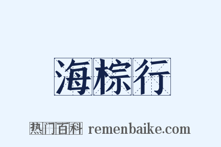 海棕行是什么意思的图片